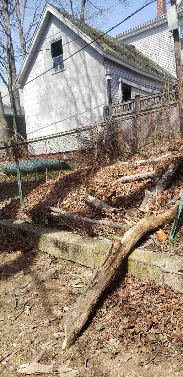 Fallen branches and matted winter debris in a Somerville backyard — the first thing to clear in spring.